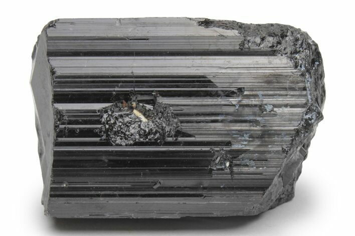 Terminated Black Tourmaline (Schorl) Crystal - Madagascar #217281